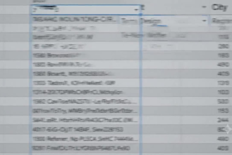 professionally clean, format, and organize excel or CSV data