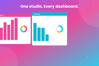 create a professional interactive excel dashboard and reports