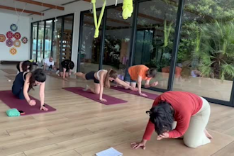 guide yoga, breathwork, and meditation sessions
