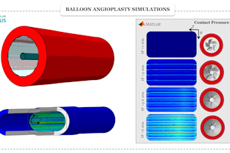 perform abaqus fea simulations for biomedical projects
