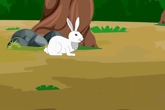 design, rig and animate your 2d animal character and animation