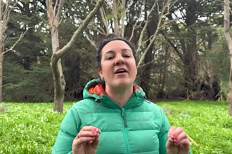 create authentic outdoor and family ugc videos for your brand