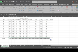 clean your excel data and organize it professionally