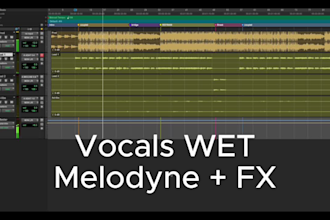 professionally tune, clean and mix your vocals