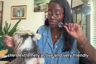 make relatable pet content for brands