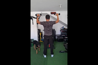 be your personal trainer in spanish entrenador personal en línea en español