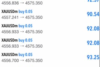automated gold ea bot forex trading ea gold ea bot forex trading robot forex ea