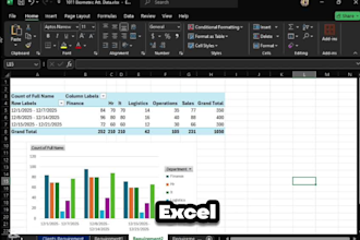 clean, organize, merge and format your excel spreadsheet data professionally