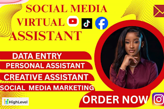 executive virtual assistant general gohighlevel social media virtual assistant