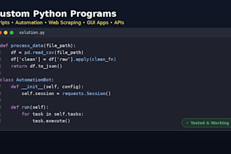 professionally create custom python programs
