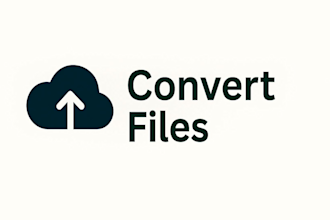 do manual data entry and excel data cleaning formatting