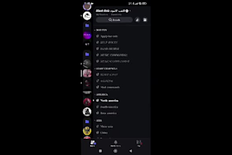 create professional discord servers for you