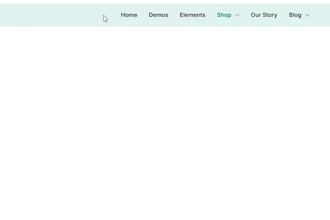 build a high converting wordpress store