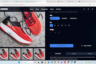 develop a high performance ecommerce website with mern or mean stack