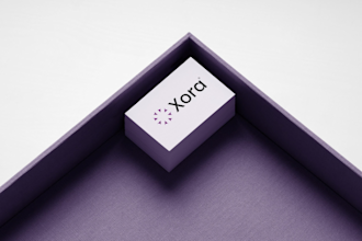 design professional brand guidelines and brand style guide