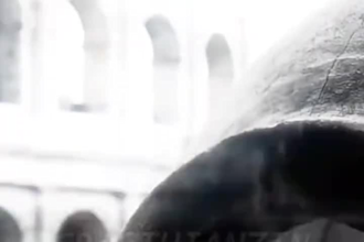 create viral ai skeleton animation shorts like dr data for youtube shorts tiktok