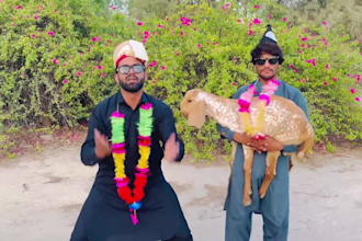 do african happy birthday video or happy birthday video
