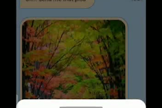 build a flutter chat app using firebase