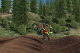 provide pro bike setup for mx bikes the game