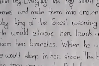 accurately write anything with my beautiful handwriting