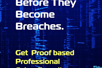 perform a professional cyber security audit for your business