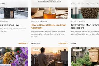 design and develop a professional blog website that is fast, SEO friendly
