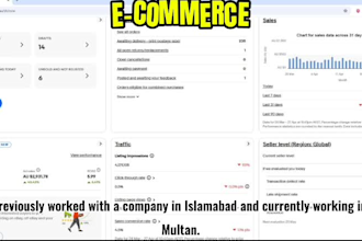 manage your ebay dropshipping store professionally