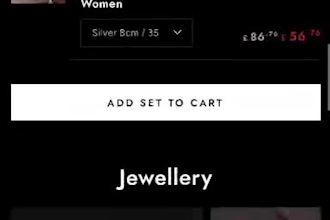 build a professional shopify store for your business