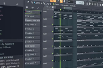 produce a professional custom trap, hip hop or boombap beat