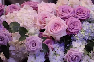 wedding video editing trailer cinematic highlights edit