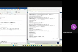 conduct a professional penetration test