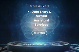 be your data entry and virtual assistant