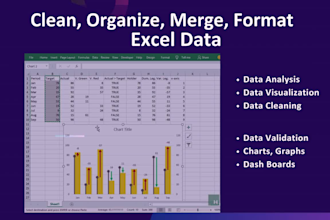 do excel data analysis, dashboards, charts, and reports