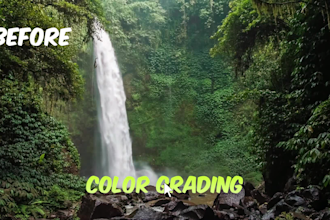 professionally edit documentary videos