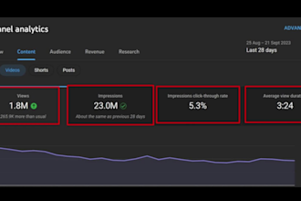 youtube channel growth with strategic SEO  organic promotion