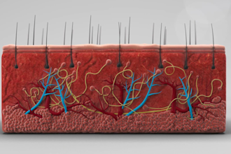 do 3d medical animation 3d animation medical animation medical explainer video