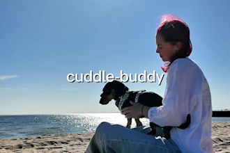 create authentic pet ugc video featuring my mini dachshund