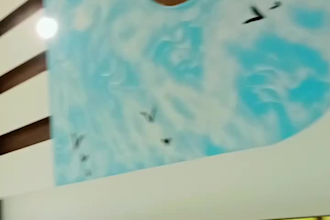 paint your house interior and exterior professionally