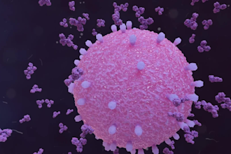 create 3d pharmaceutical, drug mechanism and cancer immunotherapy animation