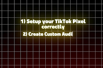 be your tiktok ads manager for sales and lead generation
