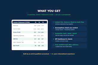 build a financial model, budget, or forecast in excel