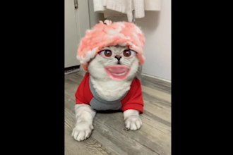create custom 3d ar vtuber filter burnt peanut for snap camera and lens studio