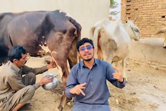 do african happy birthday video with funny african dance video
