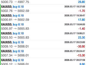 offer profitable forex trading bot, forex ea, forex trading robot, forex trading