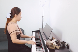 teach you to play your favorite song step by step in vietnamese