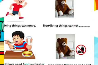 create printable worksheets for teachers and students