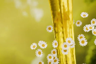 create 3d cosmetic animation 3d skincare rendering 3d product animation video