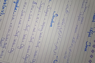 write neat and professional handwritten assignments for you
