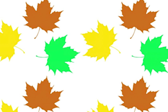 do anything in adobe illustrator professionally