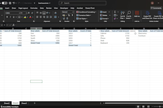 design interactive excel dashboards and data visualization
